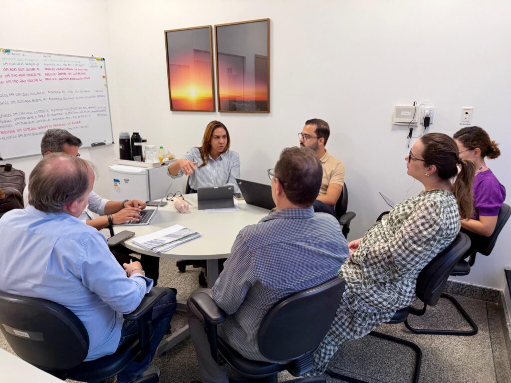 Roberta Santana em reunião